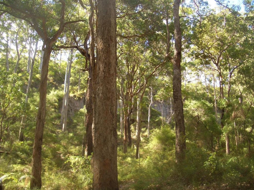 Broadwater Bed And Breakfast Busselton Luaran gambar